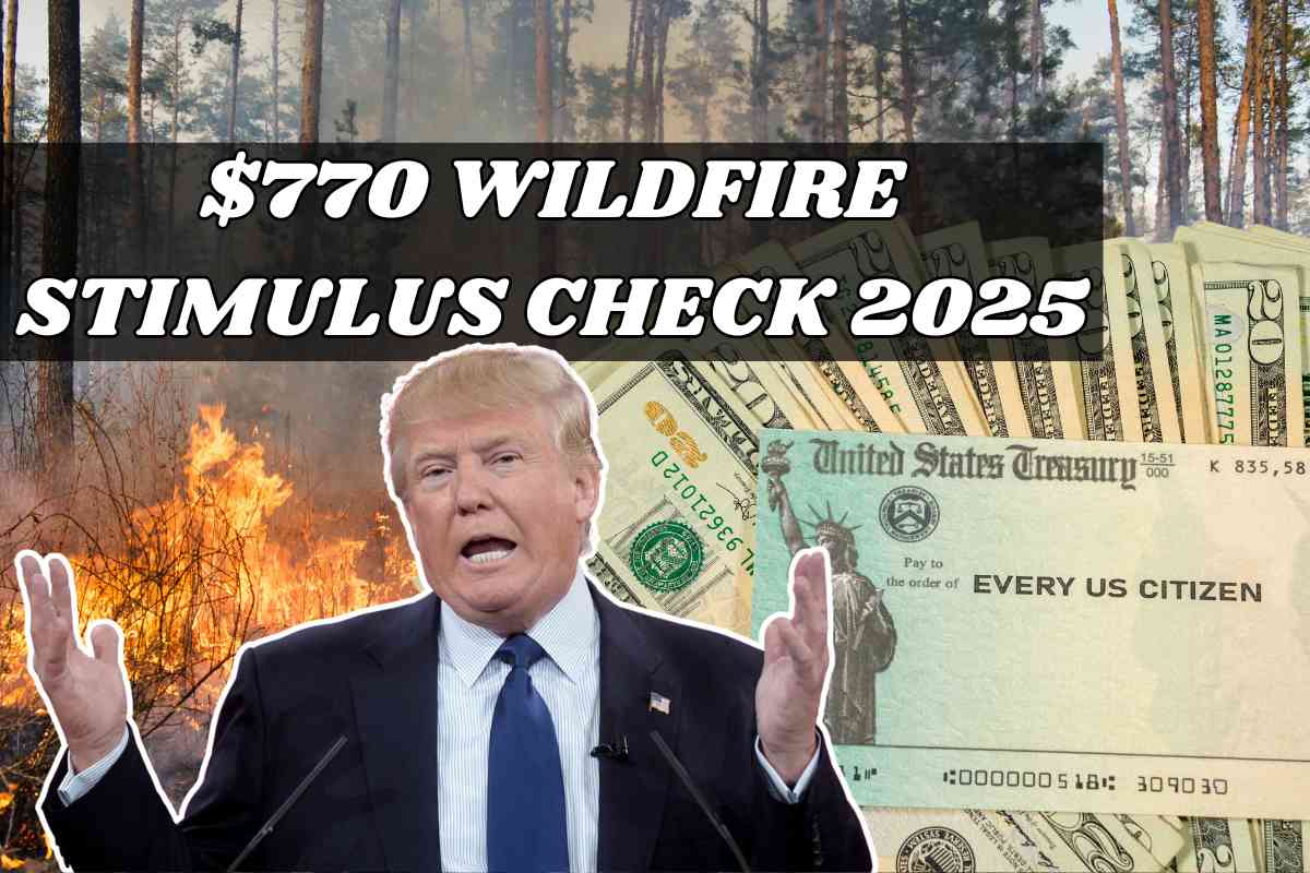 $770 Wildfire Stimulus Check 2025